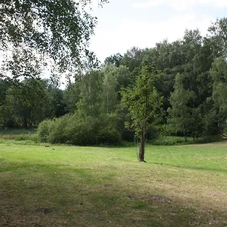 Zu Den Grauen Ziegenboecken *