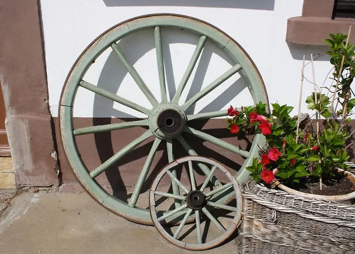 Zu Den Grauen Ziegenboecken *